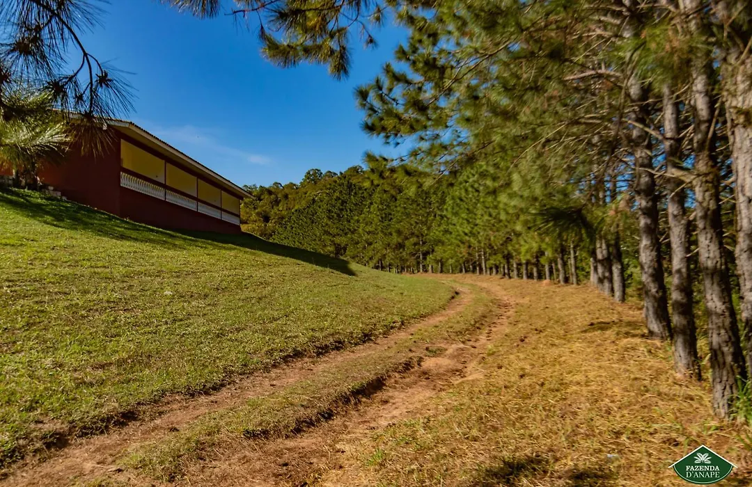 Fazenda D'anape-1